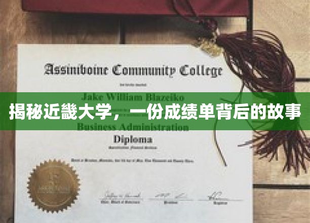 揭秘近畿大学,一份成绩单背后的故事