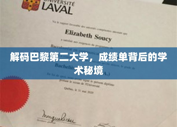 探寻巴黎第二大学，揭开成绩单背后的学术奥秘