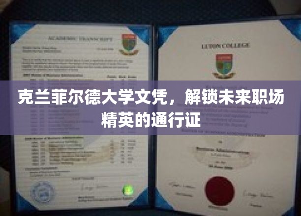 克兰菲尔德学位，开启职场精英之路的金钥匙