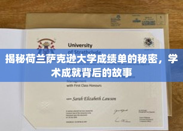 解码萨克逊大学成绩单，探寻学术辉煌背后的真实故事