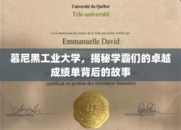 学霸们的非凡之路，慕尼黑工业大学成绩背后的真实故事