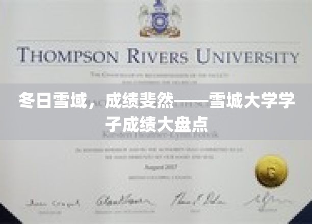 雪城大学冬日荣耀，学子们在雪域的学术征程绽放光彩