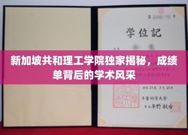 新加坡共和理工学院独家揭秘，探寻成绩单背后的学术魅力