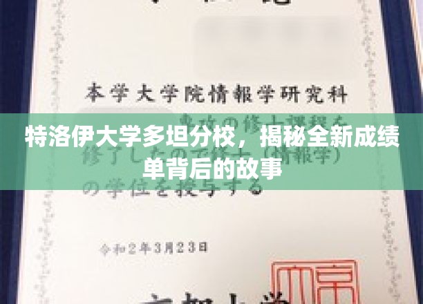 特洛伊大学多坦分校，揭秘全新成绩单背后的故事