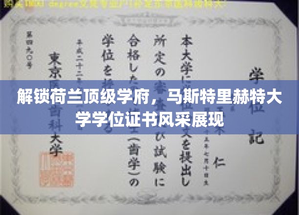 荷兰马斯特里赫特大学学位证书，探秘欧洲精英教育的魅力之光