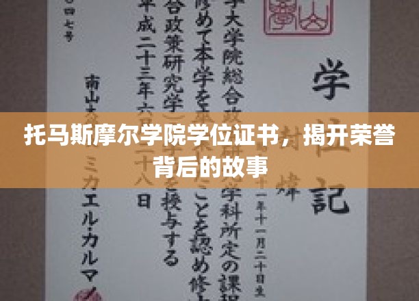 荣誉证书背后的传奇，托马斯摩尔学院的荣耀之路