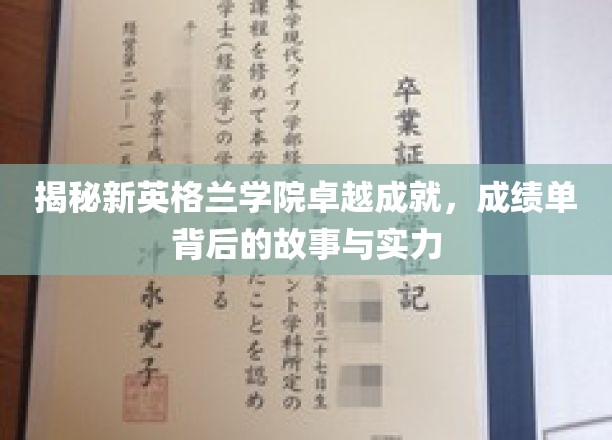 探索新英格兰学院辉煌成就，揭秘成就背后的实力与故事