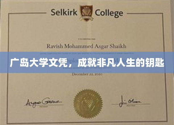 广岛大学文凭，解锁非凡人生成就的通行证