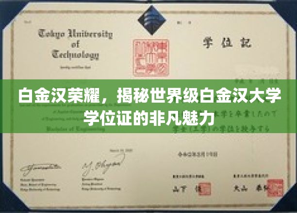 白金汉学位闪耀全球，揭秘顶尖学府的荣耀密码