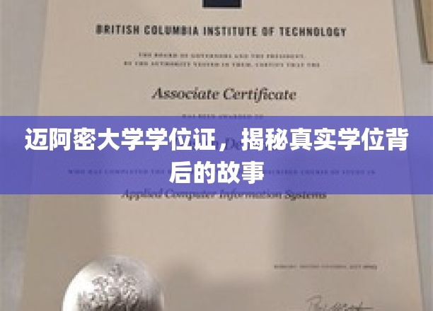 迈阿密大学学位证，探寻学位背后的传奇与奥秘