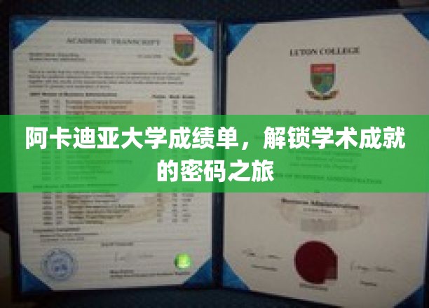 解锁学术荣耀，阿卡迪亚大学成绩单的成就解码之旅