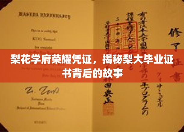 梨花深处藏荣耀，一探梨大毕业证书的传奇历程
