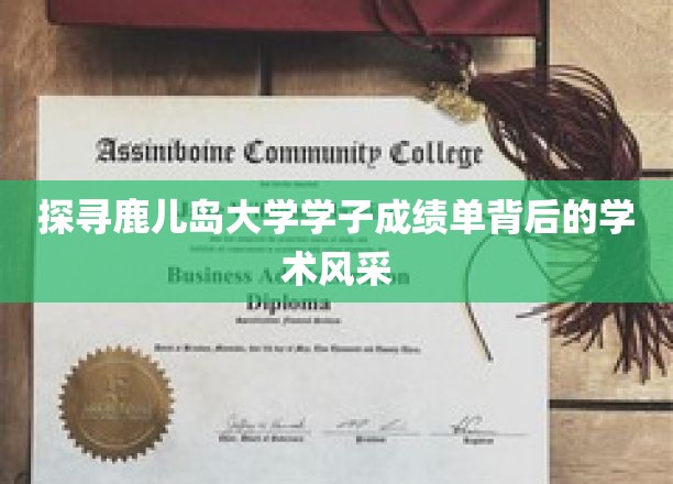 解码鹿大英才，揭秘成绩单背后的学术魅力