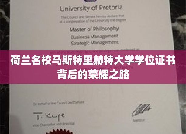 解码马斯特里赫特大学，探寻荣耀学位背后的辉煌历程