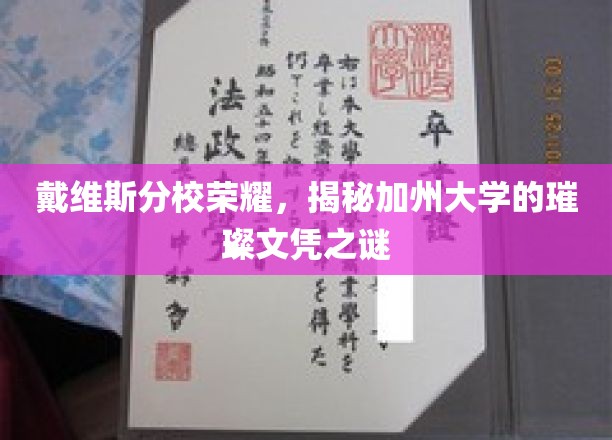 加州戴维斯分校荣耀之光，解码顶尖文凭背后的神秘力量