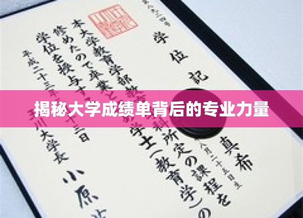 解码学海成绩单，探寻专业实力背后的奥秘