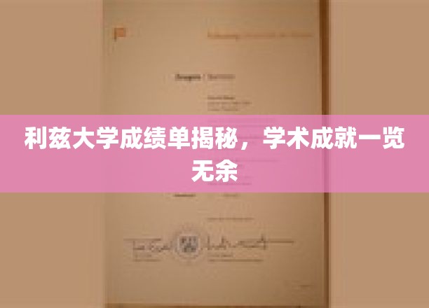 一窥利兹大学学术风采，成绩单背后的卓越成就