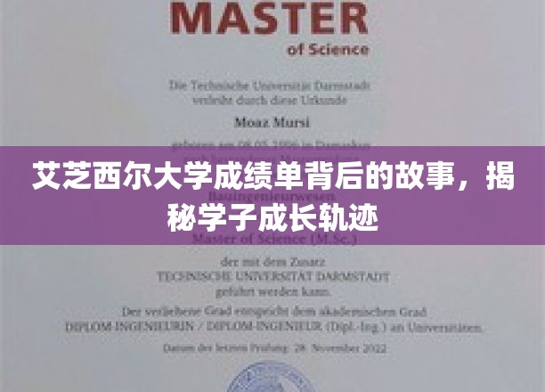 艾芝西尔大学成绩单，揭开学子奋斗与成长的秘密面纱