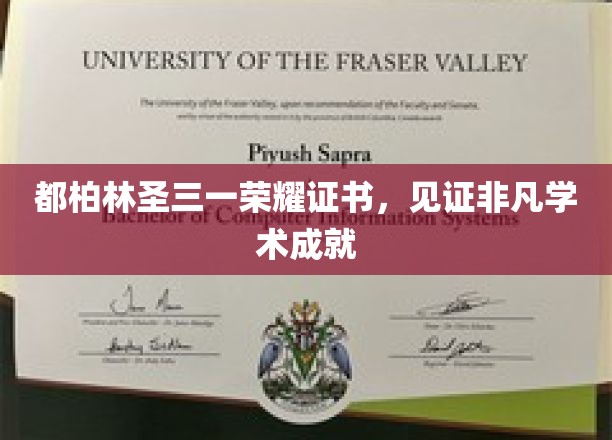 都柏林圣三一荣耀证书，见证非凡学术成就