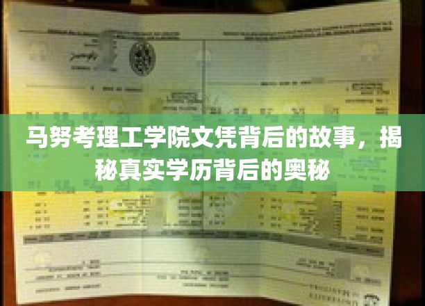 马努考理工学院文凭之谜，揭开学历背后的不凡历程