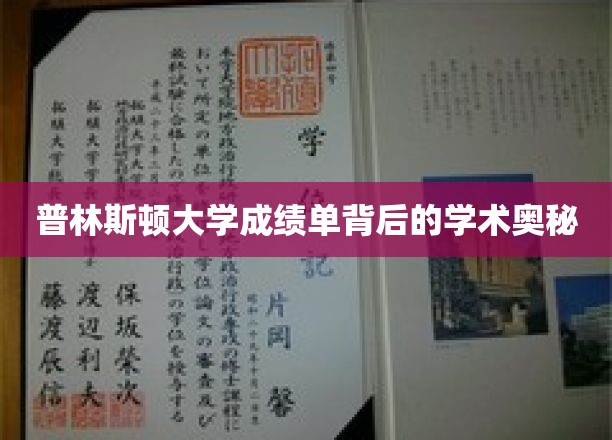 探寻普林斯顿大学成绩单的神秘面纱，揭开学术殿堂的评估之谜