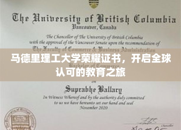 马德里理工大学荣耀通行证，跨足国际舞台的教育新纪元