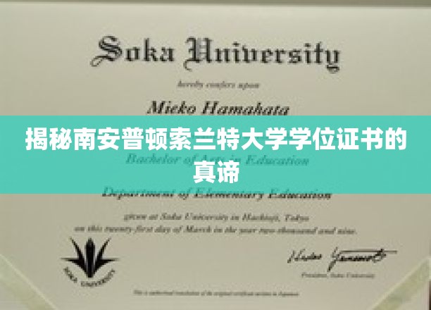 探秘南安普顿索兰特大学学位证书的深层含义