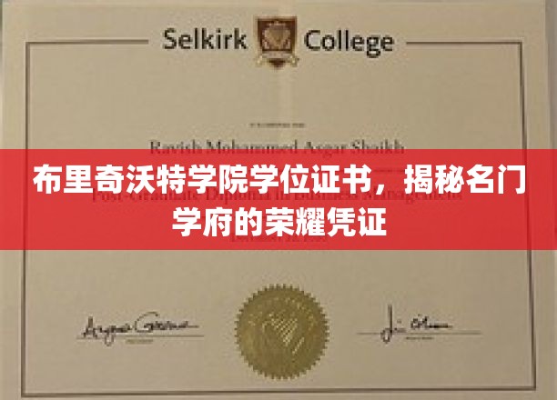 名门学府荣耀凭证，布里奇沃特学院学位证书背后的故事