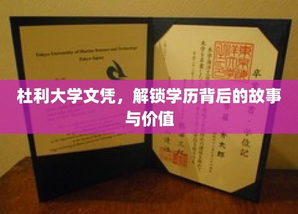 杜利大学文凭背后的传奇，揭秘学历的不凡价值与魅力