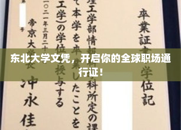 东北名校荣耀，成就国际职场精英之路！