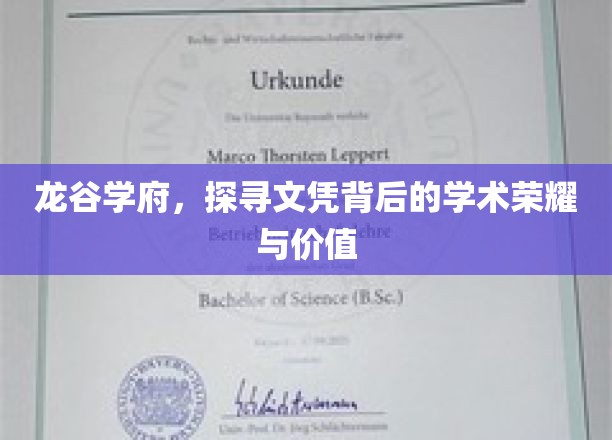 解码龙谷学府，文凭荣耀背后的学术宝藏