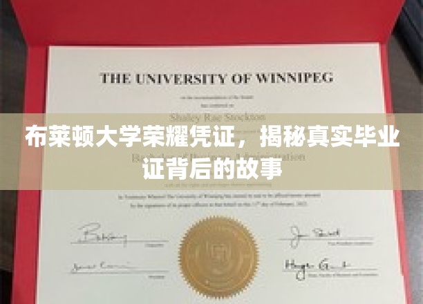 布莱顿大学证书之谜，探寻毕业证背后的传奇故事