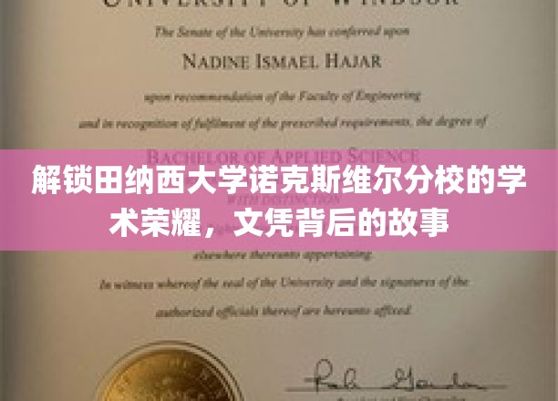 探寻田纳西大学诺克斯维尔分校的辉煌篇章，文凭背后的传奇故事